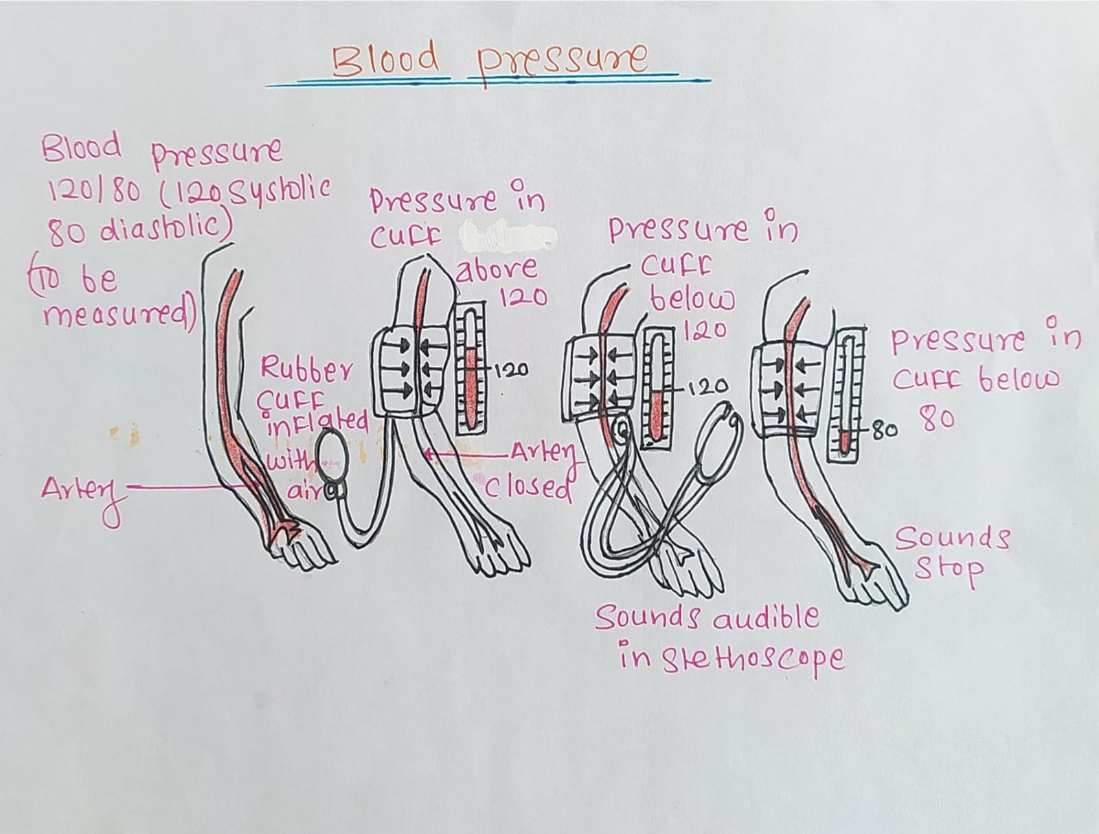 Blood Pressure Gauge Instrument Drawing Stock Illustration  Download Image  Now  Physical Pressure Blood Pressure Gauge Healthcare And Medicine   iStock