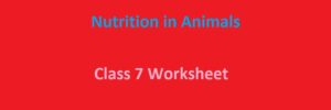 CBSE Class 7 Science Nutrition in Animals Worksheet