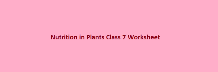 Nutrition In Plants For Class 7 Worksheet