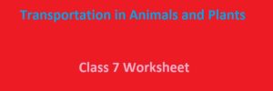 CBSE Class 7 Science Transportation in Animals and Plants Worksheet