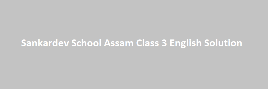 Sankardev School Assam Class 3 English Solution