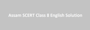 assam scert class 8 english solution