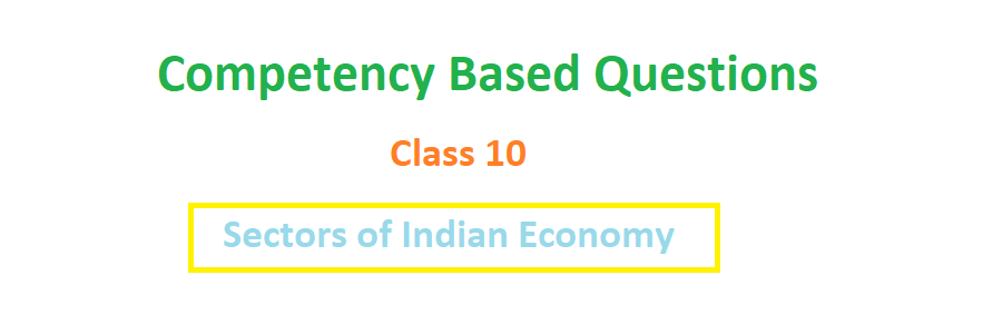 Sectors of Indian Economy competency based questions