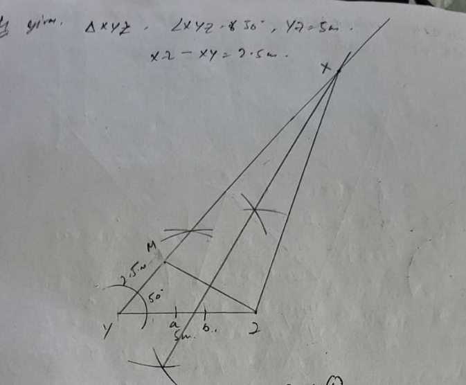 CG Board Class 9 Math Chapter 13 Solution in Detail