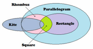 Class 8 Maths Ganita Prakash Chapter 4 Quadrilaterals